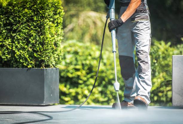 Best Solar Panel Cleaning  in Ladera Ranch, CA