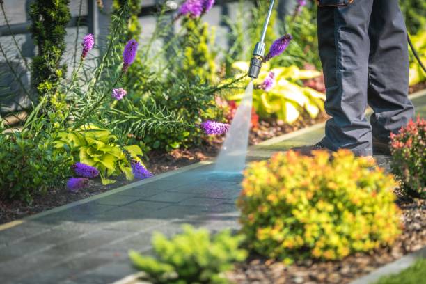Best Animal Enclosure Cleaning  in Ladera Ranch, CA
